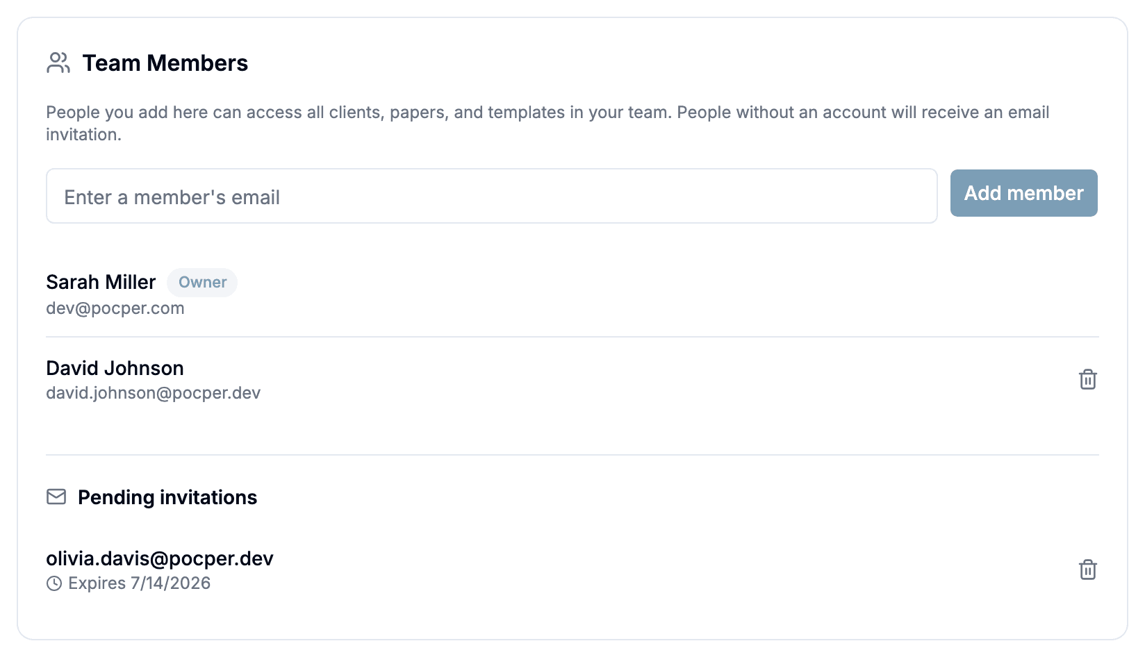 Team settings tab with a members list showing an Owner badge, an add-member email field, and a pending invitation